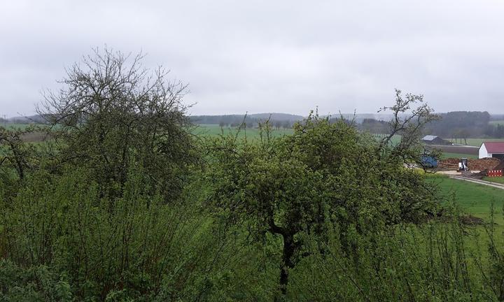 Gasthof Hirsch im Grunen