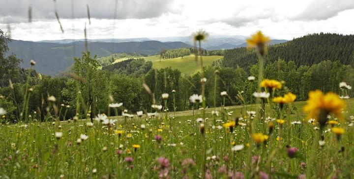 Schmalzerhisli Vesperstube